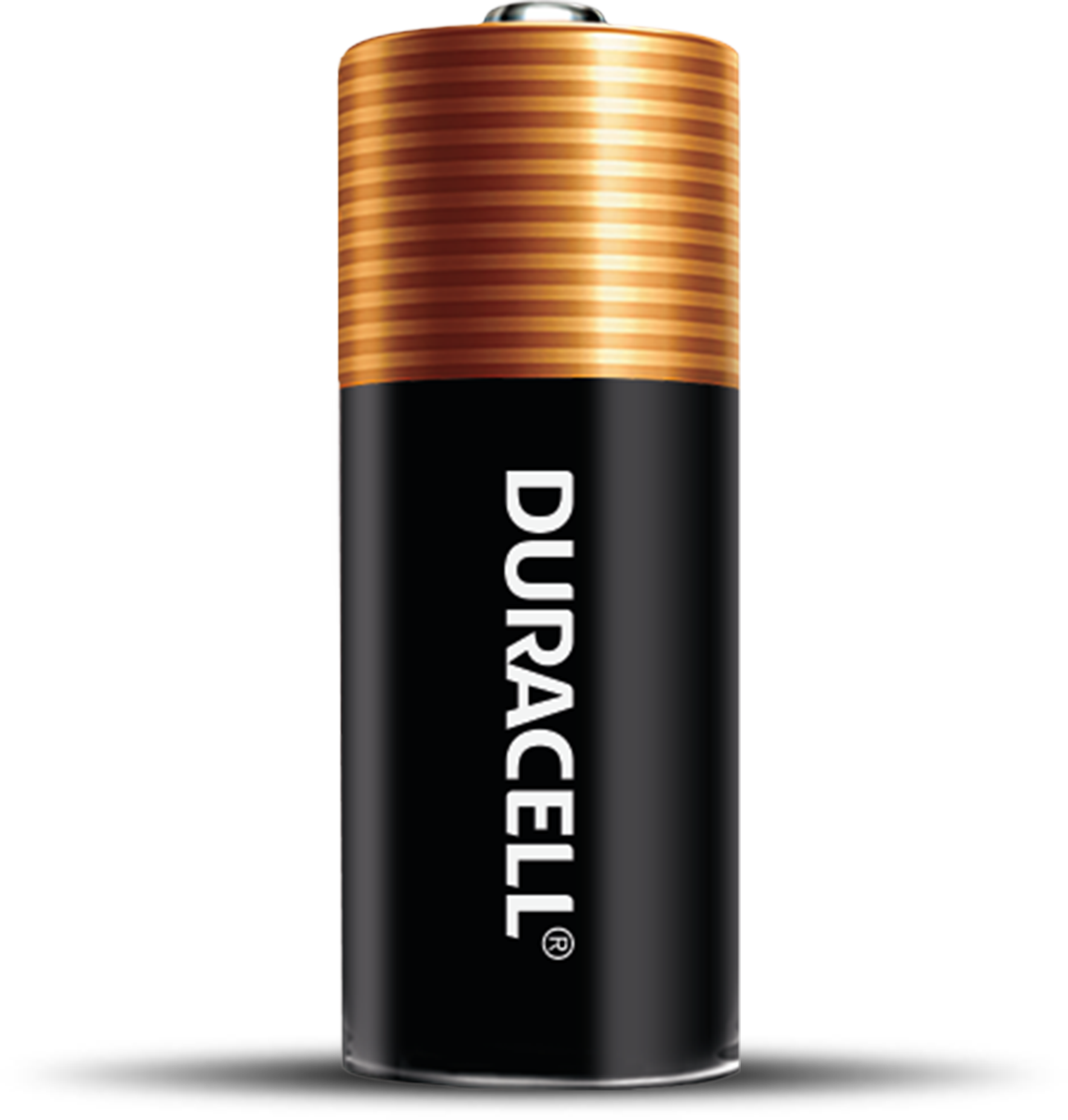 Duracell 21/23 DL23A Alkaline 12V Battery A23 MN21 23AF 23AE V23GA GP23A  New